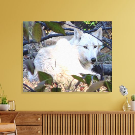 Gray Wolf Canvas Afdruk (Insitu (Woonkamer))
