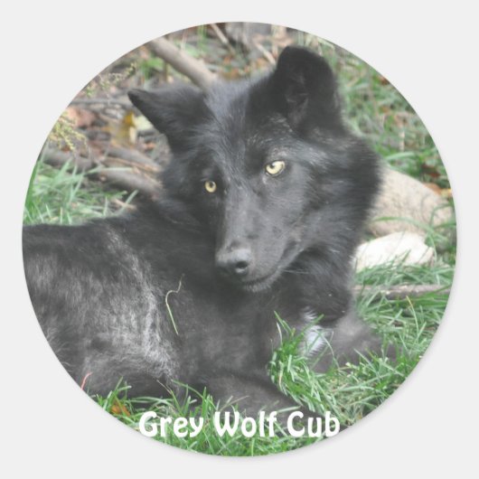 GRAY WOLF CUB Stickers de soutien à la faune (Devant)