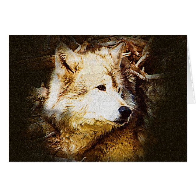 Gray Wolf die kijkt (Voorkant Horizontaal)