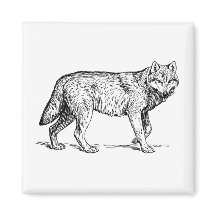 Gray Wolf Elegant Ink Tekening