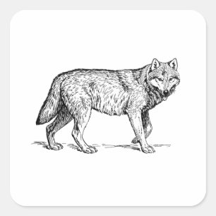 Gray Wolf Elegant Ink Tekening Vierkante Sticker