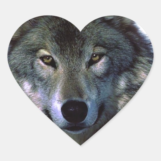 Gray Wolf Eyes Hart Sticker (Voorkant)