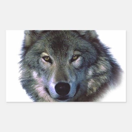 Gray Wolf Eyes Rechthoekige Sticker (Voorkant)
