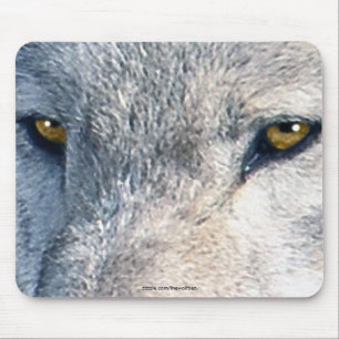 Gray Wolf Eyes Tapis de souris d'art faunique