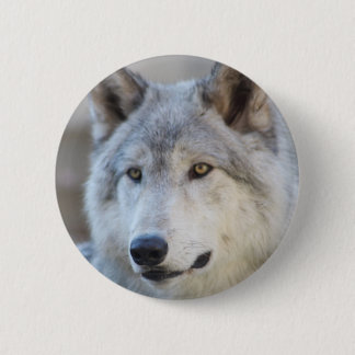 Gray Wolf Face Ronde Button 5,7 Cm