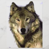 Gray Wolf Flyer (Voorkant)