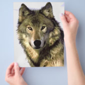 Gray Wolf Flyer (Hand)