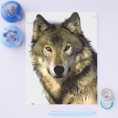 Gray Wolf Flyer (Enkel)