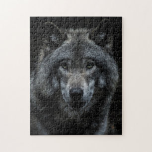 Gray Wolf Forest Wilde Animals Natuur Kijk omhoog Legpuzzel