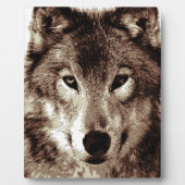 Gray Wolf Fotoplaat (Voorkant)