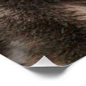 Gray Wolf Glossy Perfect Poster (Hoek)