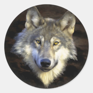 Gray Wolf Head Natuur Canine Animal Art Ronde Sticker