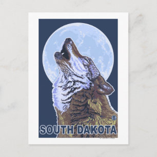 Gray Wolf Howling South Dakota Briefkaart
