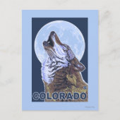 Gray Wolf HowlingColorado Briefkaart (Voorkant)