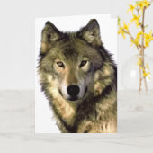 Gray Wolf Kaart (Gele Bloem)