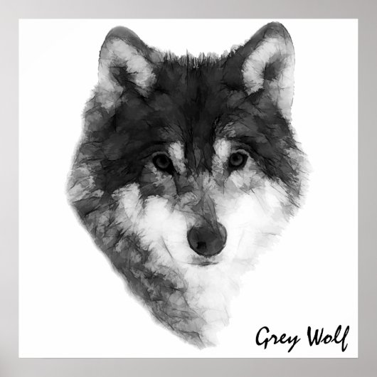 Gray Wolf klassieker Poster (Voorkant)