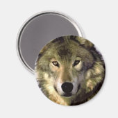 Gray Wolf Magneet (Voorkant / Achterkant)