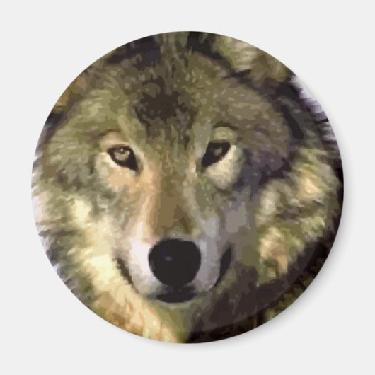 Gray Wolf Magneet (Voorkant)