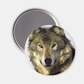 Gray Wolf Magneet (Voorkant / Achterkant)