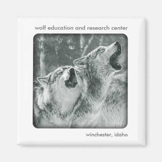 Gray Wolf Magnet Magneet (Voorkant)