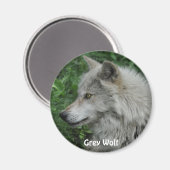 GRAY WOLF - Magnet photo de la faune (Recto/Verso)