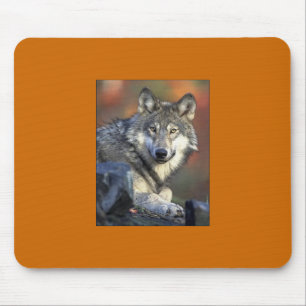 Gray Wolf Mousepad Muismat