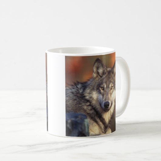 Gray Wolf Mug (Devant droit)