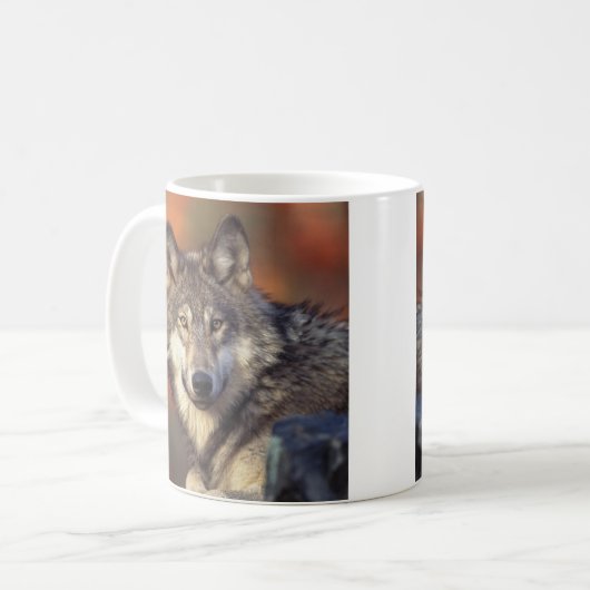 Gray Wolf Mug (Devant gauche)