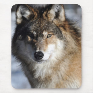 Gray Wolf Muismat