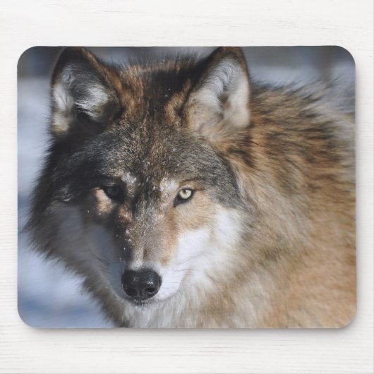 Gray Wolf Muismat (Voorkant)
