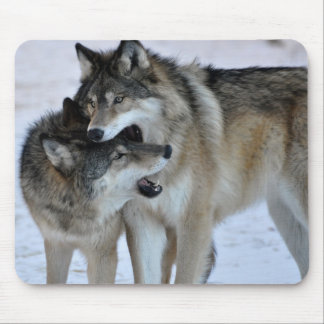 Gray Wolf Muismat