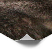 Gray Wolf Poster (Hoek)