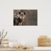 Gray Wolf Poster (Keuken)