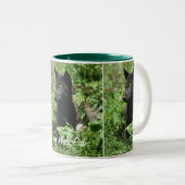 Gray Wolf Pup Wildlife Photoshop Mug (Devant droit)