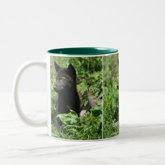 Gray Wolf Pup Wildlife Photoshop Mug (Gauche)