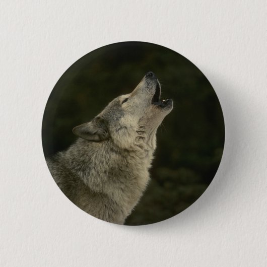 Gray Wolf Ronde Button 5,7 Cm (Voorkant)