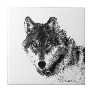 Gray Wolf Sketch Artwork Tegeltje