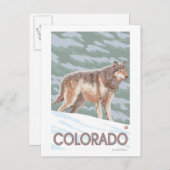 Gray Wolf StandingColorado Briefkaart (Voorkant / Achterkant)