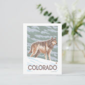Gray Wolf StandingColorado Briefkaart (Staand voorkant)