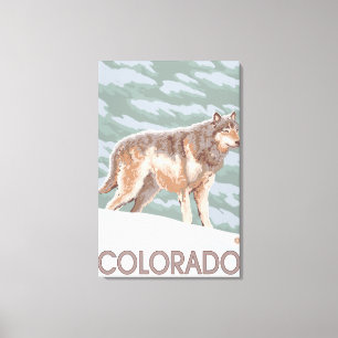 Gray Wolf StandingColorado Canvas Afdruk