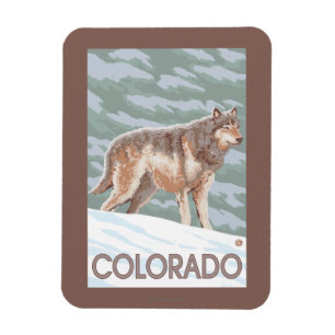 Gray Wolf StandingColorado Magneet