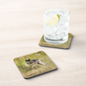 Gray Wolf & Wilderness Foto Gift Bier Onderzetter (Rechterzijde)