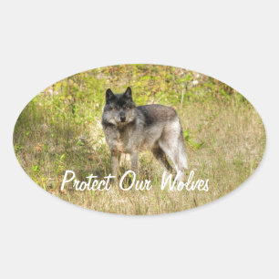 Gray Wolf & Wilderness Foto Gift Ovale Sticker