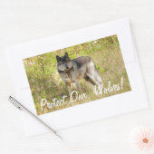 Gray Wolf & Wilderness Foto Gift Rechthoekige Sticker (Envelop)