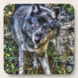 Gray Wolf & Wilderness Wildlife Fotoportret Onderzetter