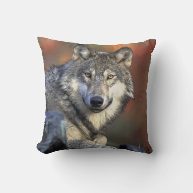 Gray Wolf Wildlife Lovers Kussen (Voorkant)