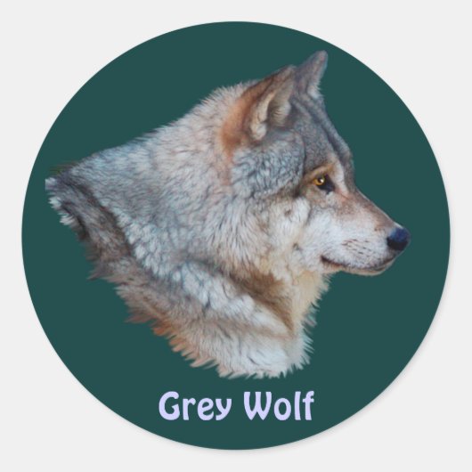 GRAY WOLF Wildlife Sticker Collectie (Voorkant)