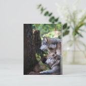 Gray Wolves Briefkaart (Staand voorkant)