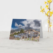 Gray Wolves Family Journey Kaart (Gele Bloem)