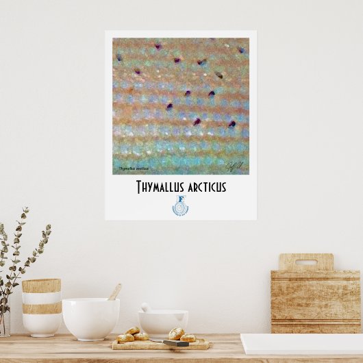 Grayling FFF Poster (Keuken)